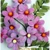 rosacastella364
